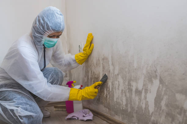 Best Residential Mold Removal  in Garrett, IN