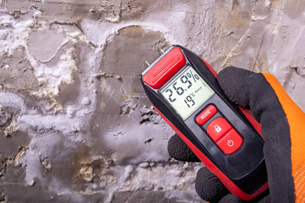 Best Mold Testing  in Garrett, IN