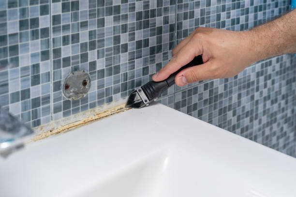 Best Black Mold Removal  in Garrett, IN