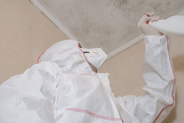 Best Best Mold Removal Companies  in Garrett, IN