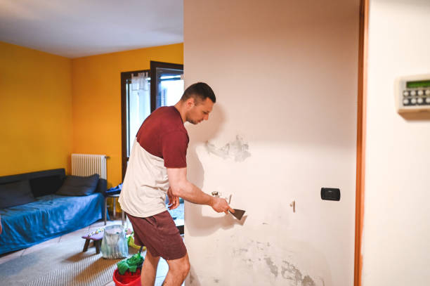 Best Best Mold Removal Companies  in Garrett, IN