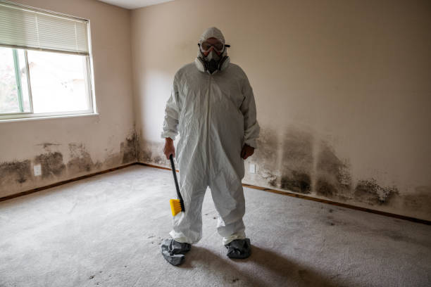 Best Toxic Mold Removal  in Garrett, IN