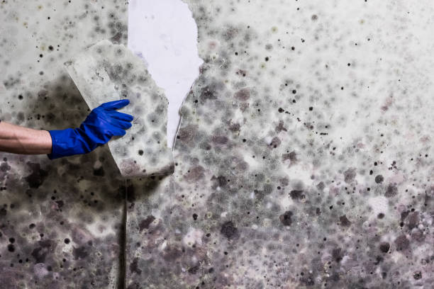 Water Damage Restoration in Garrett, IN